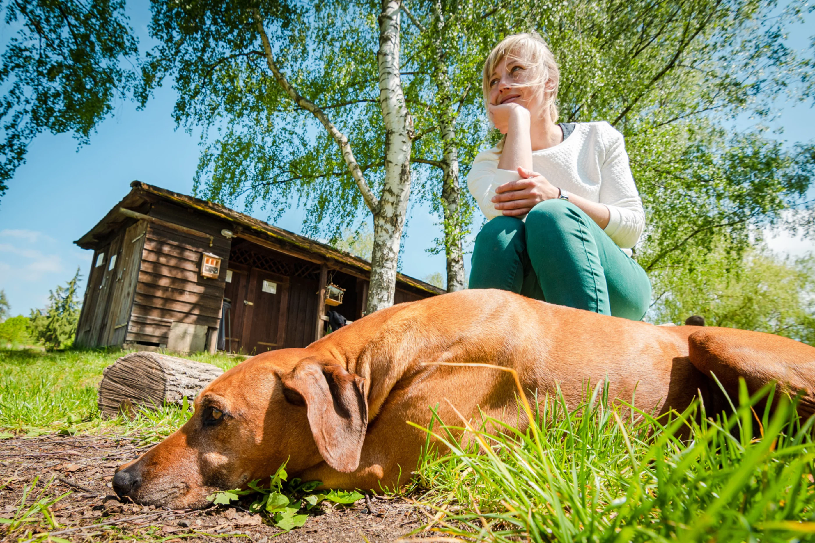 Frau mit Hund im Grünen im Waldviertel